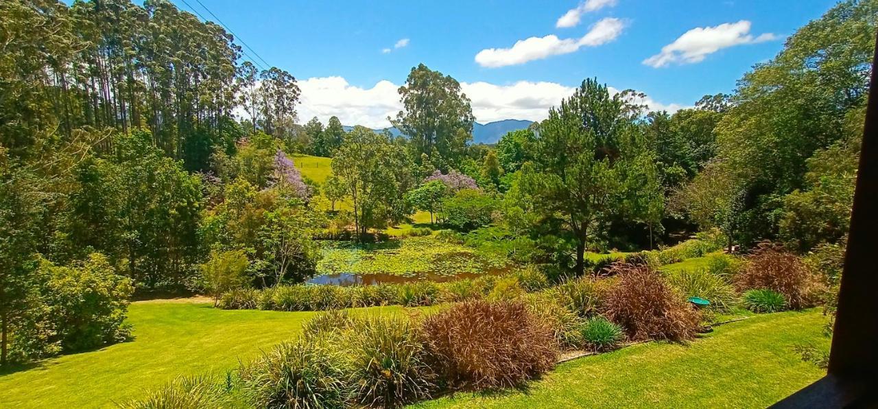 Lilypad Luxury Cabins Bellingen Exterior foto