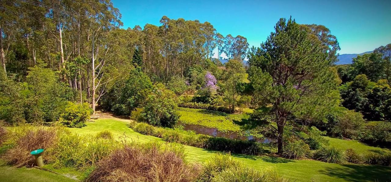 Lilypad Luxury Cabins Bellingen Exterior foto