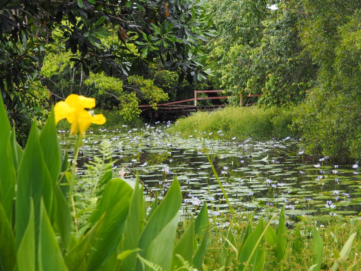 Lilypad Luxury Cabins Bellingen Exterior foto